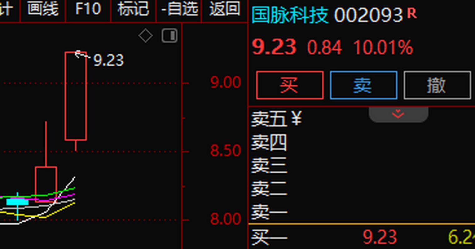 002093-002093国脉科技股吧