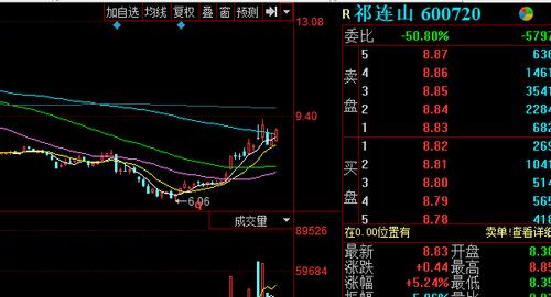 600720祁连山-600720祁连山股吧