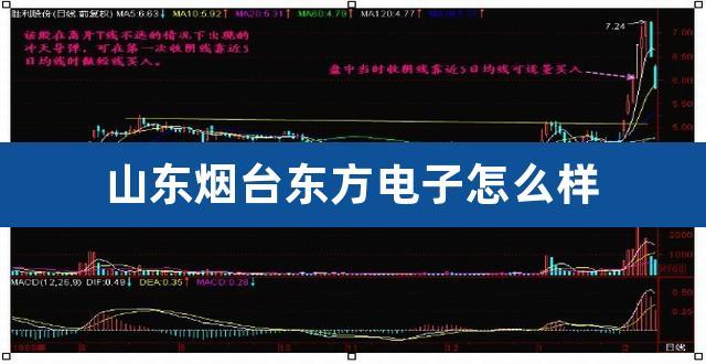 东方电子股票-烟台东方电子股票