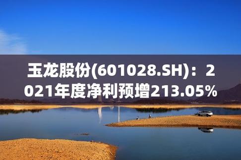 601028玉龙股份-601028玉龙股份股吧