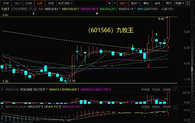 九牧王股票-九牧王股票股吧