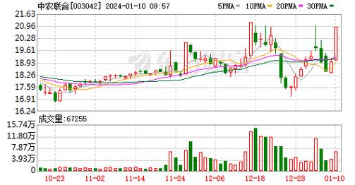 中农联合-中农联合st大集涨停