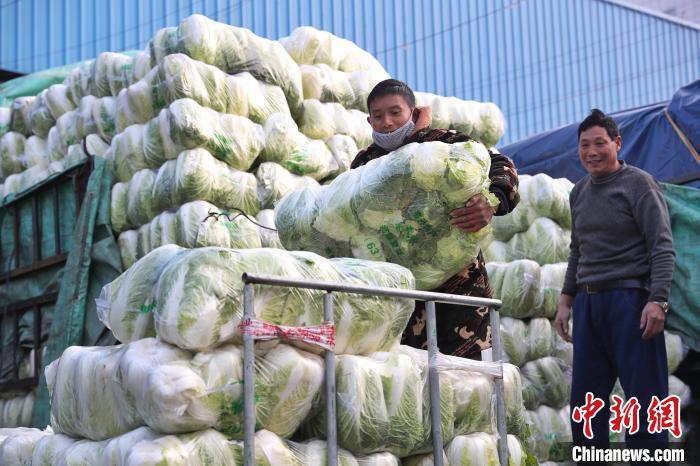 上海蔬菜批发-上海蔬菜批发交易市场