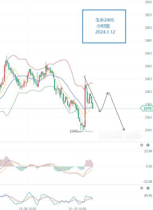 玉米期货2401-玉米期货2401最新行情